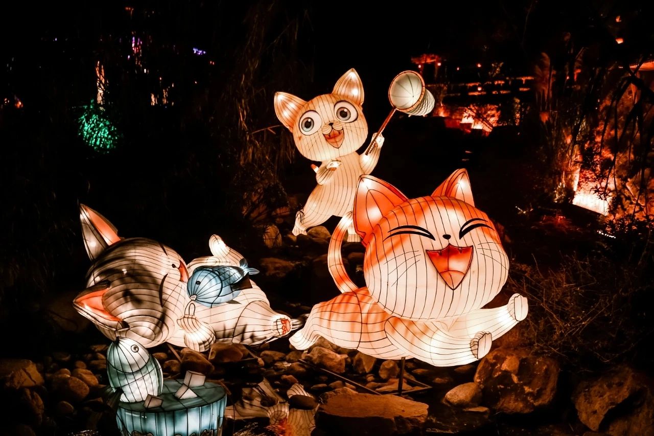 猫包围系列主题花灯