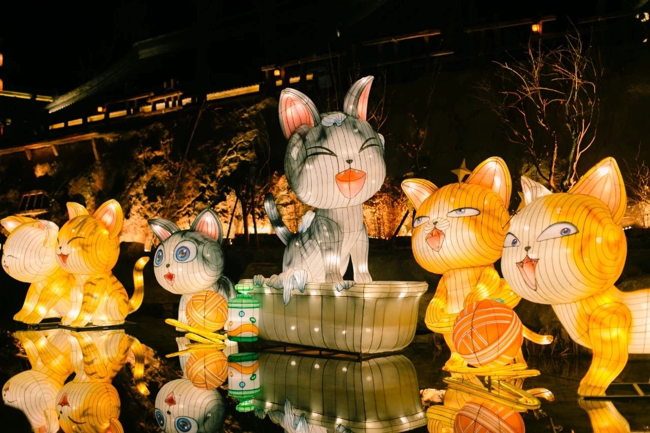 猫包围系列主题花灯