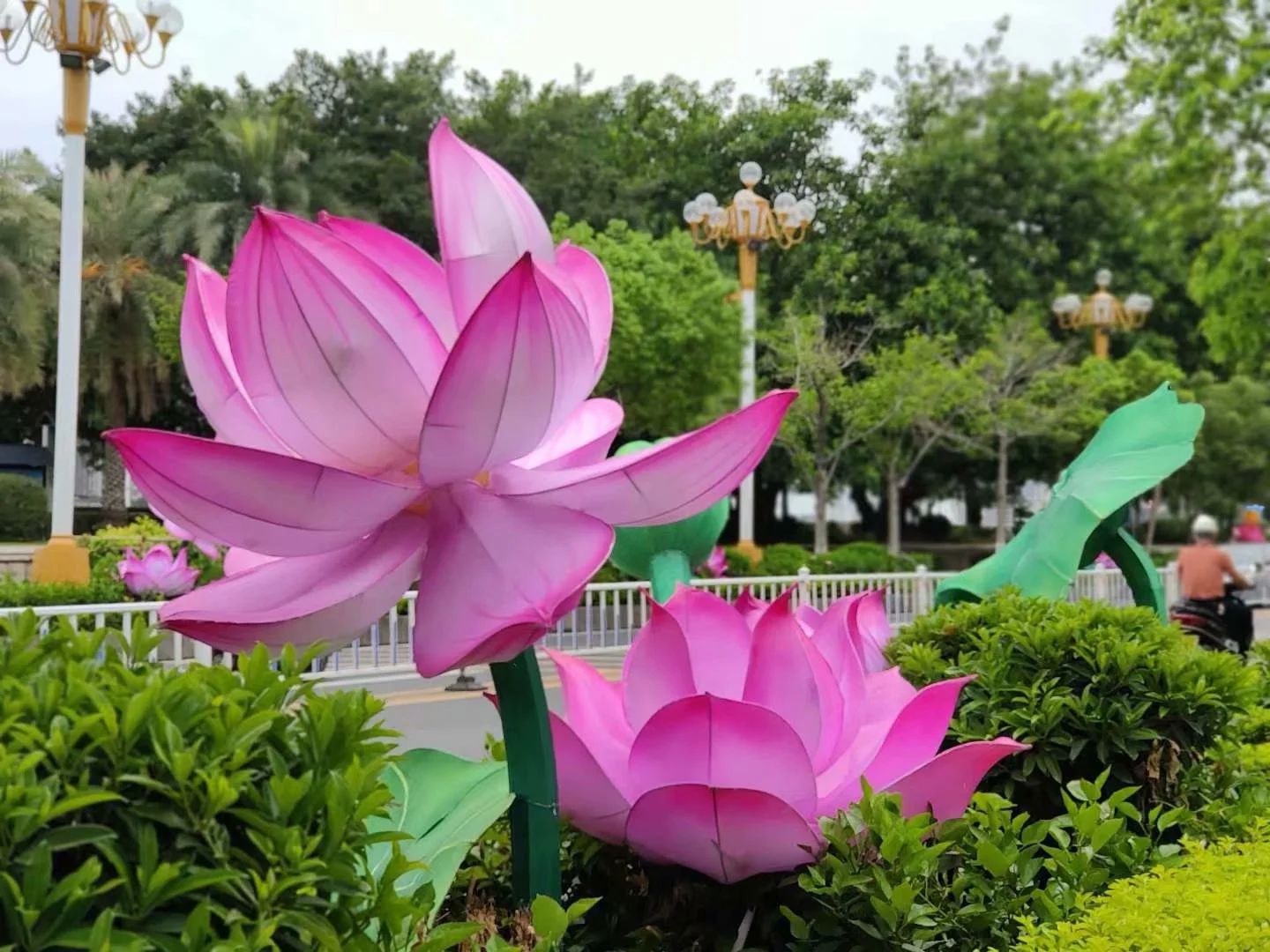 <font style="color: #FF8F00 !important;">荷花</font>系列主题花灯