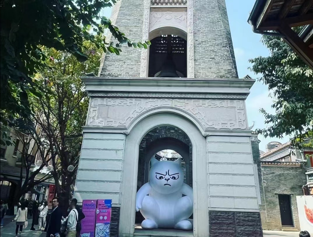 撸猫爱好者天堂