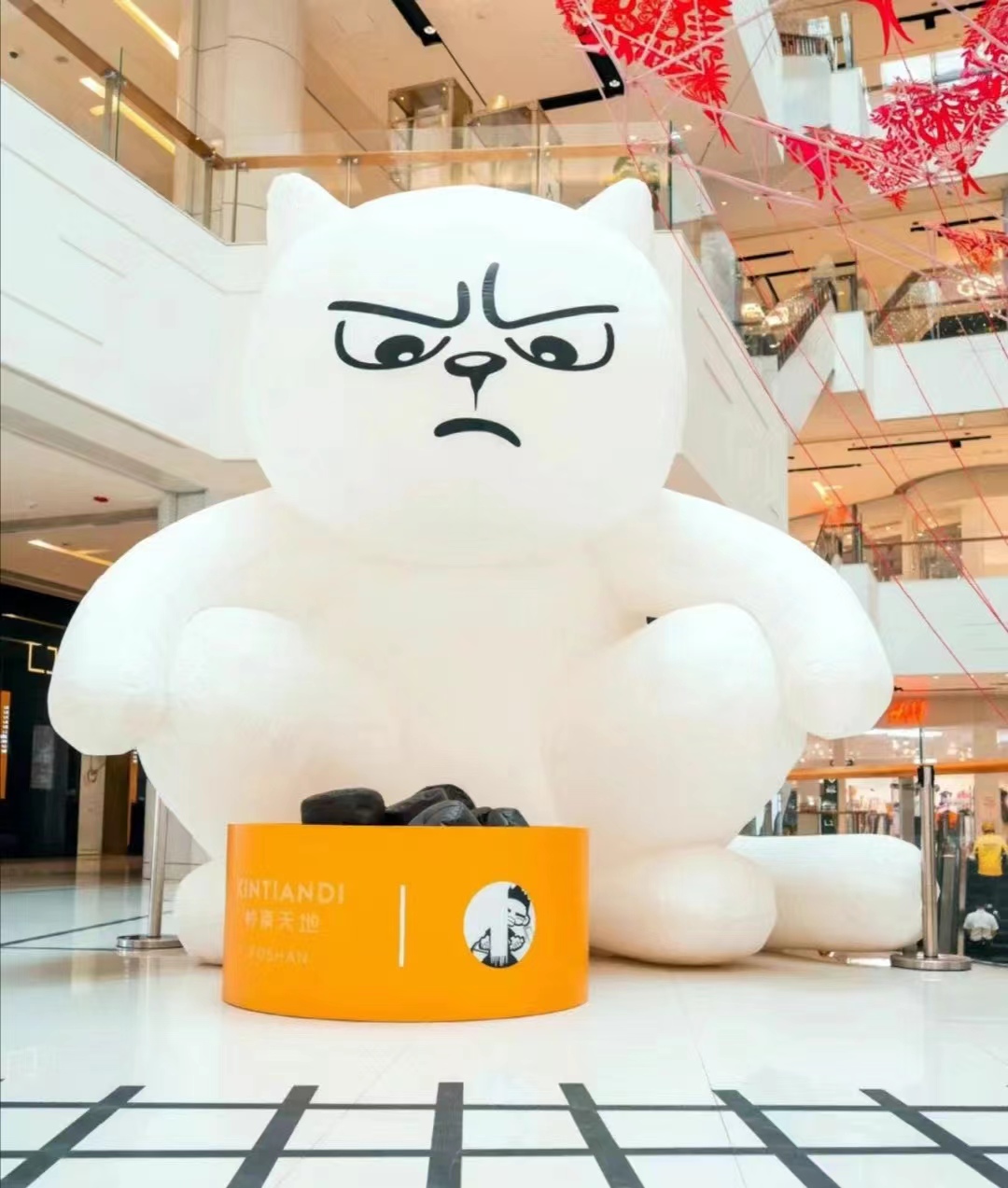 撸猫爱好者天堂