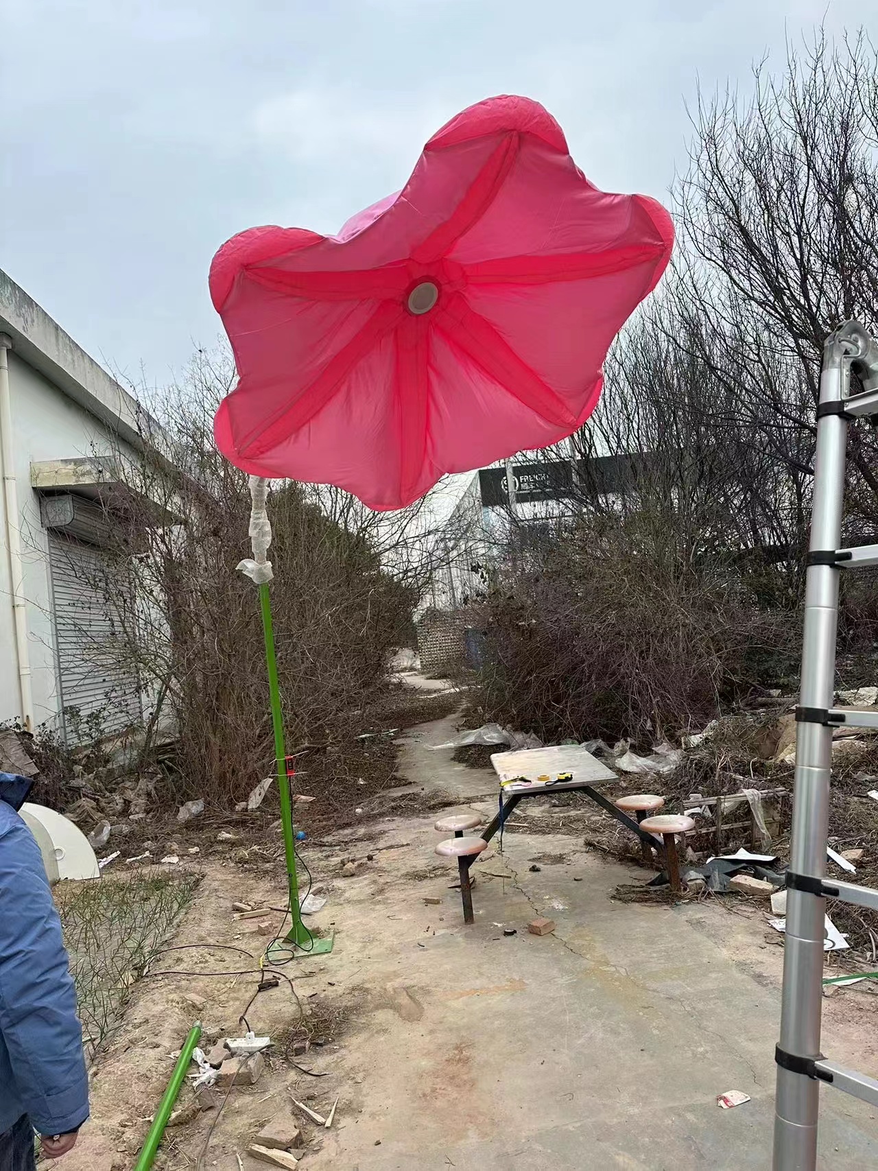 气模人体感应花喇叭花牵牛花机械花厂家直销批量生产