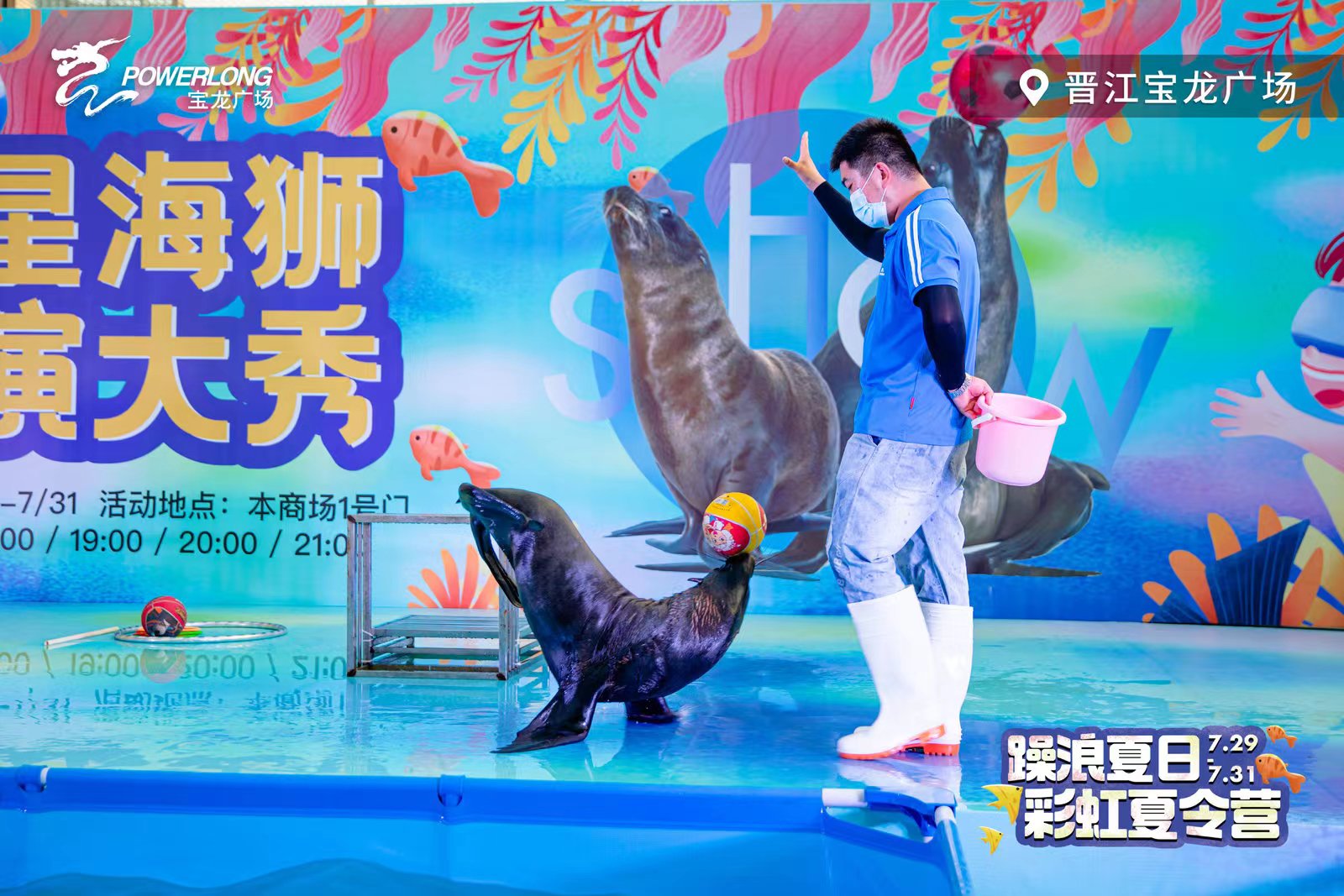 海狮表演租赁 