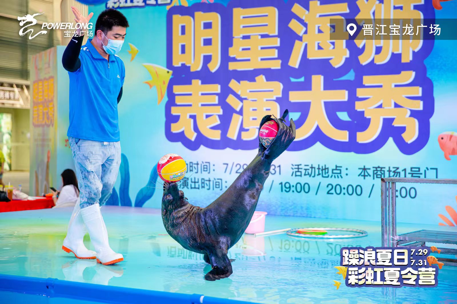 海狮表演租赁 