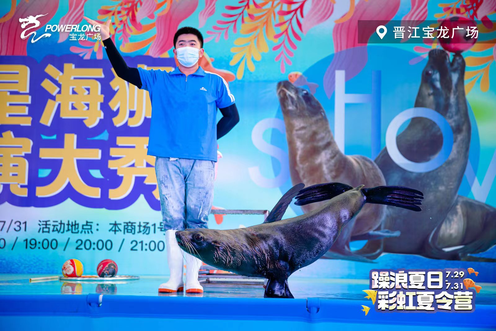 海狮表演租赁 