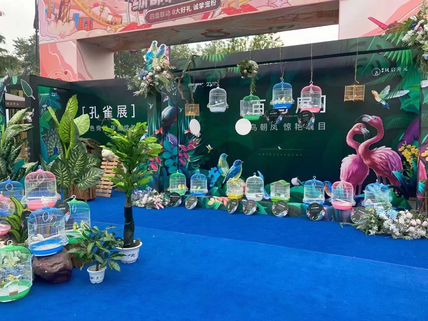 羊驼出租 动物租赁暖场