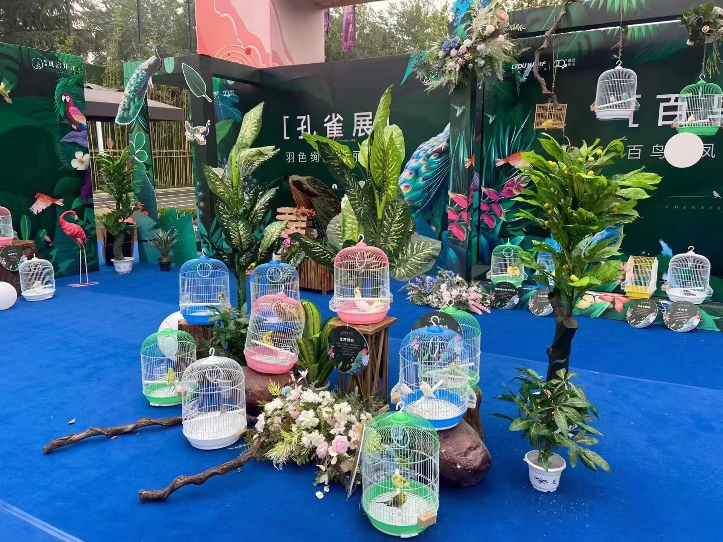 羊驼出租 动物租赁暖场