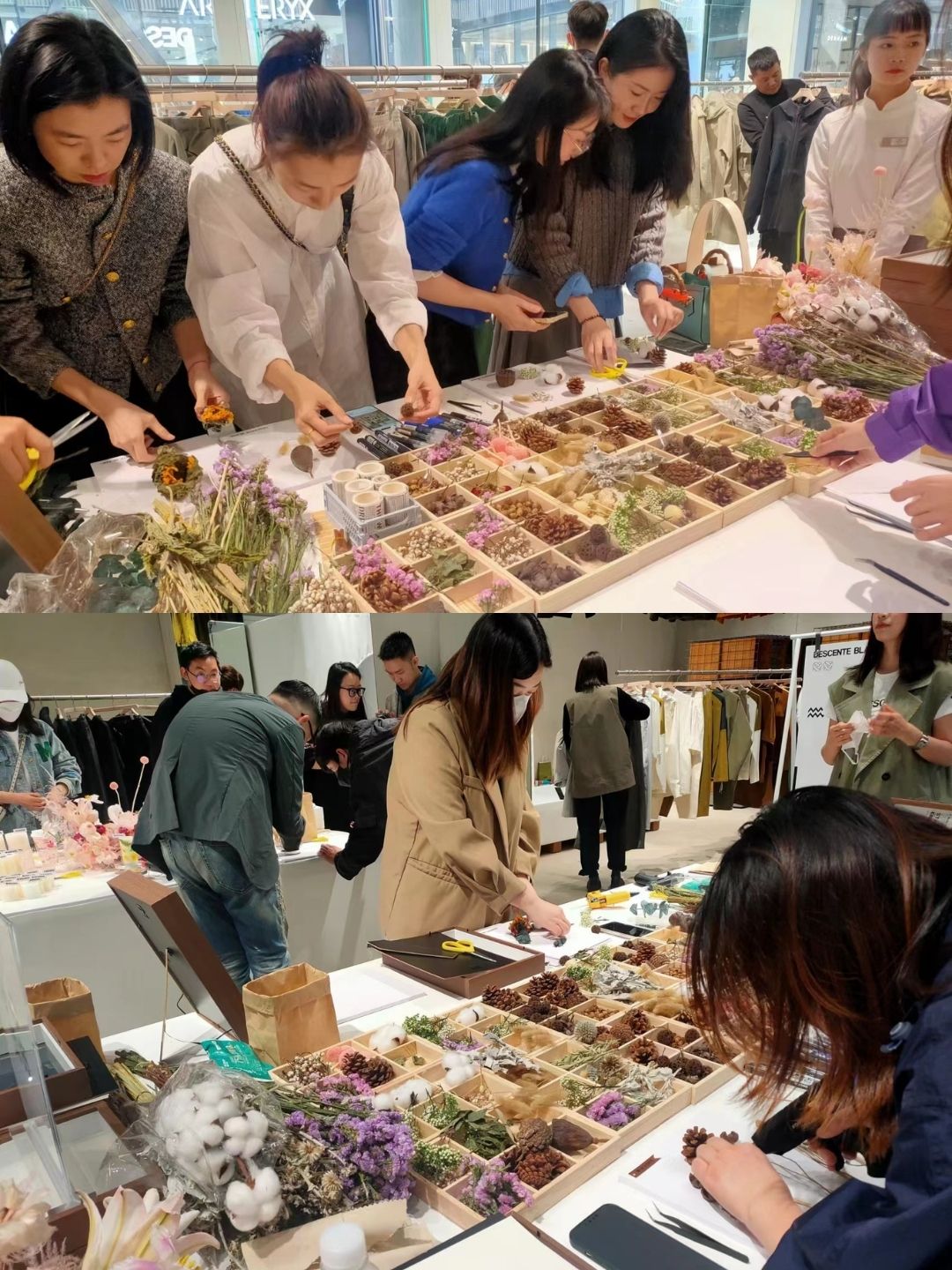 植物相框DIY