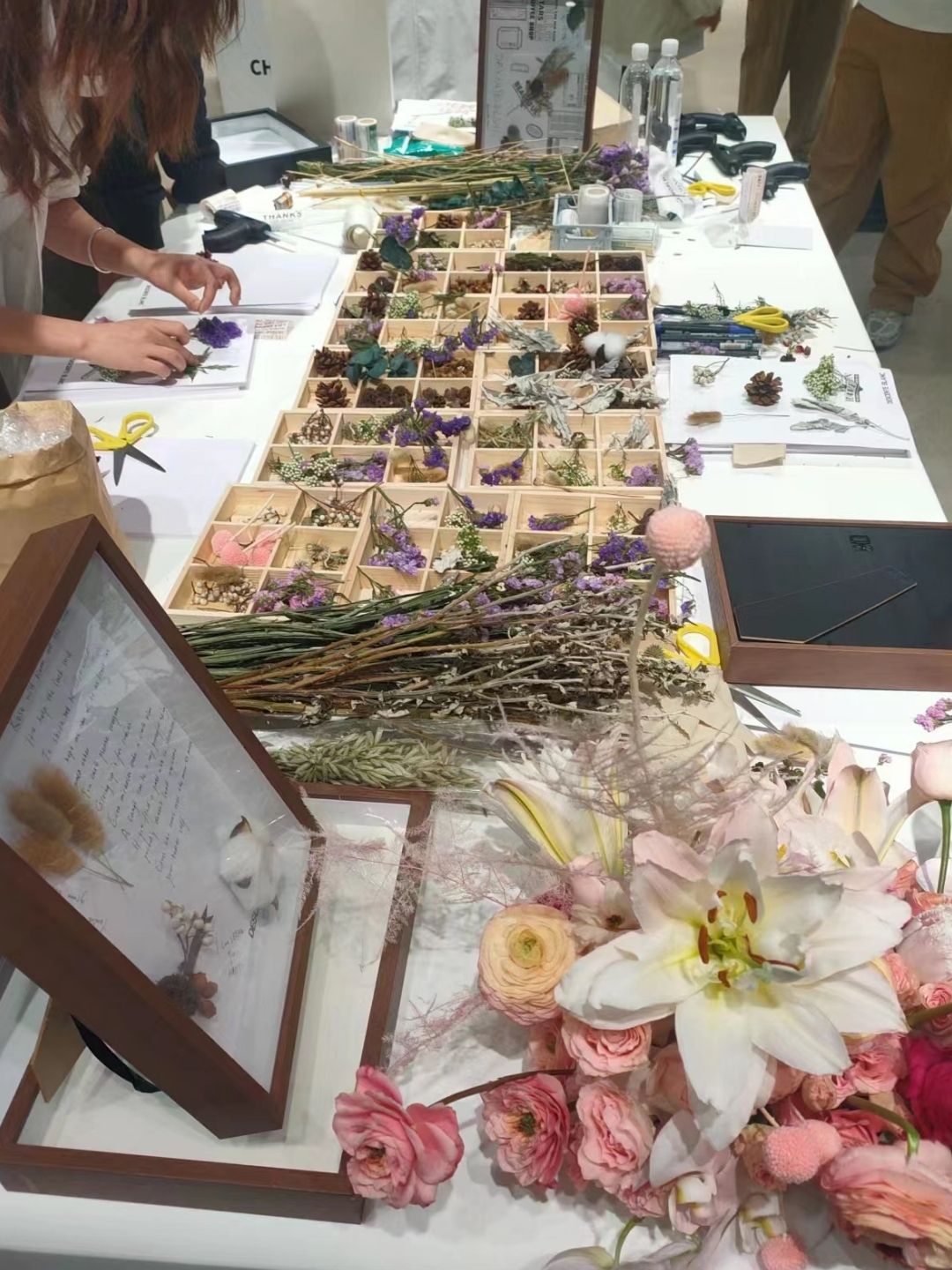 植物相框DIY