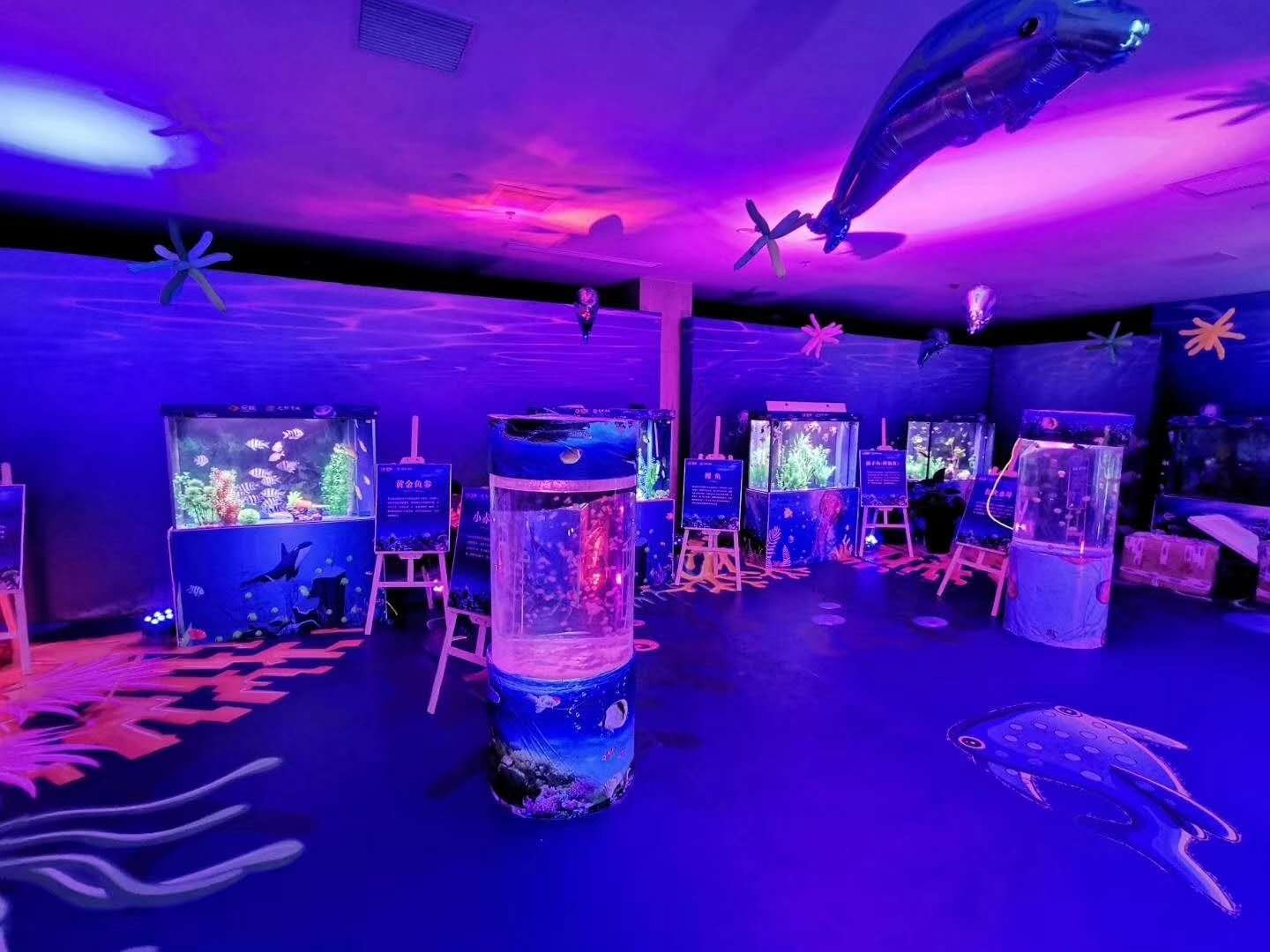 萌宠/马戏/海洋生物展