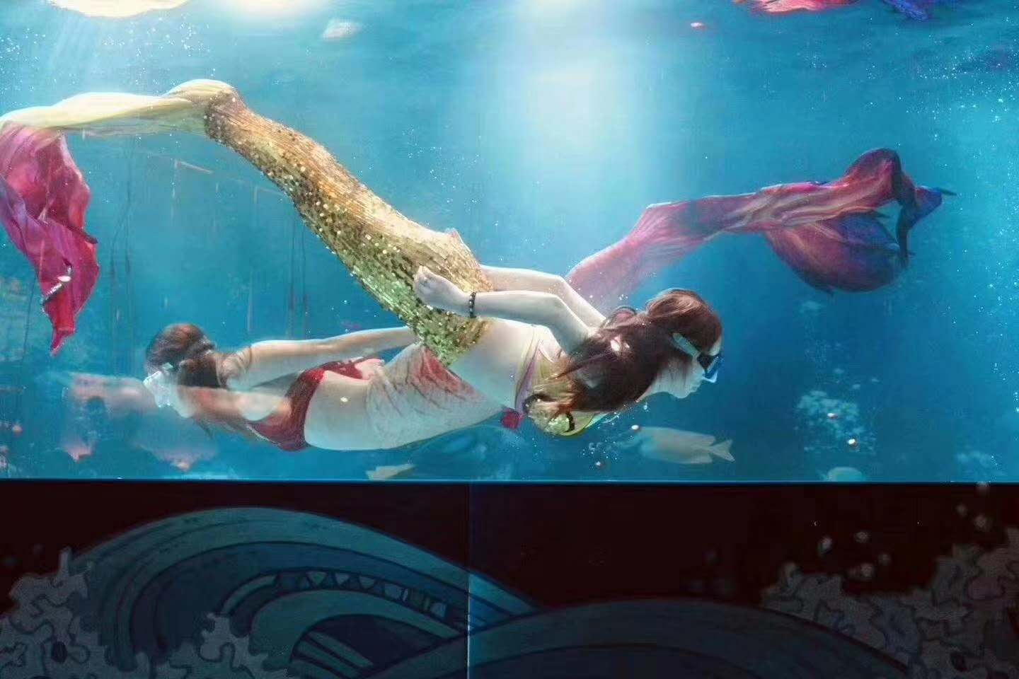 萌宠/马戏/海洋生物展