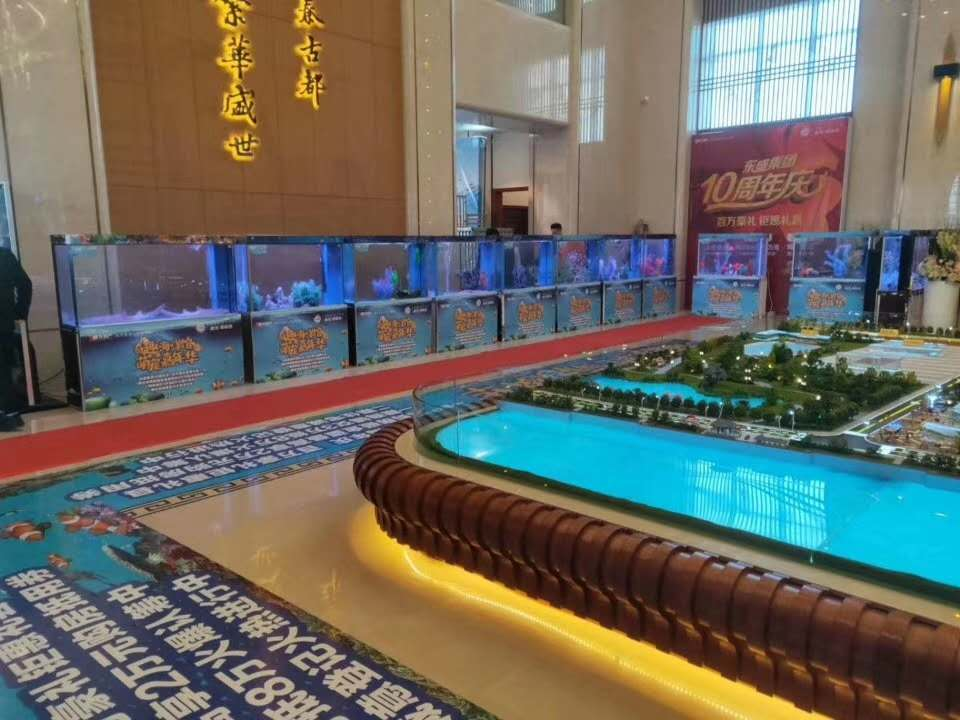 萌宠/马戏/海洋生物展