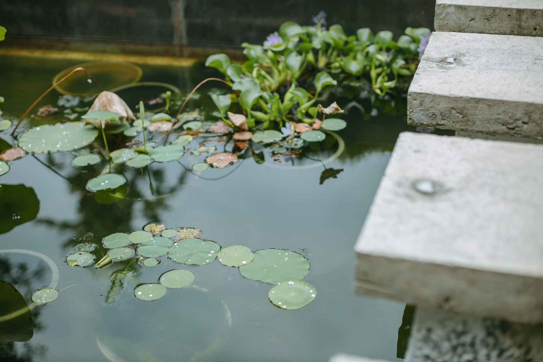 青普臻选-婺源水岸边