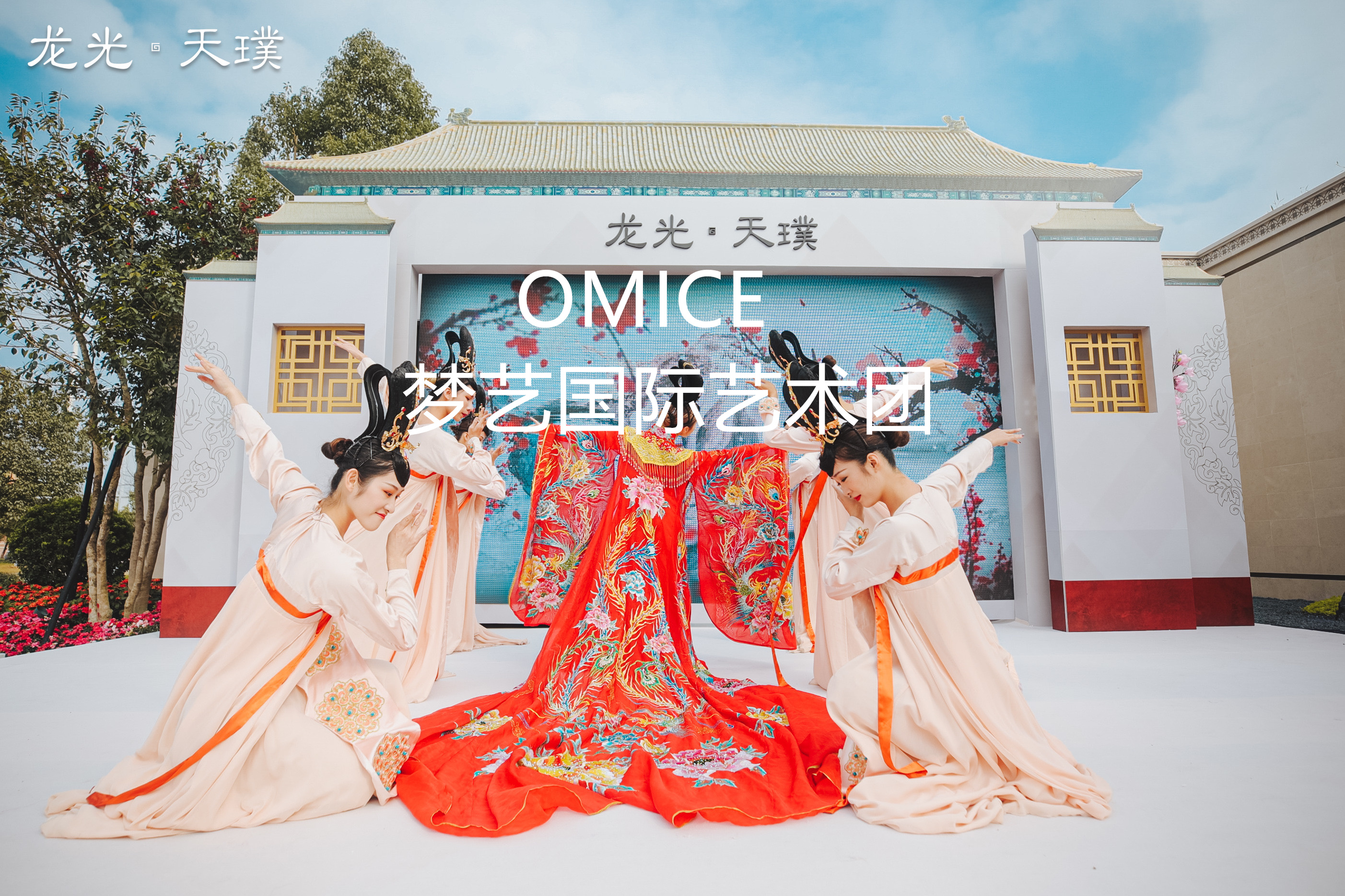 古风舞蹈民族舞蹈中华——丽人行