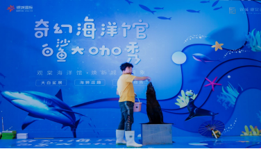 活动策划执行