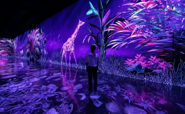 沉浸式数字艺术展--网红打卡