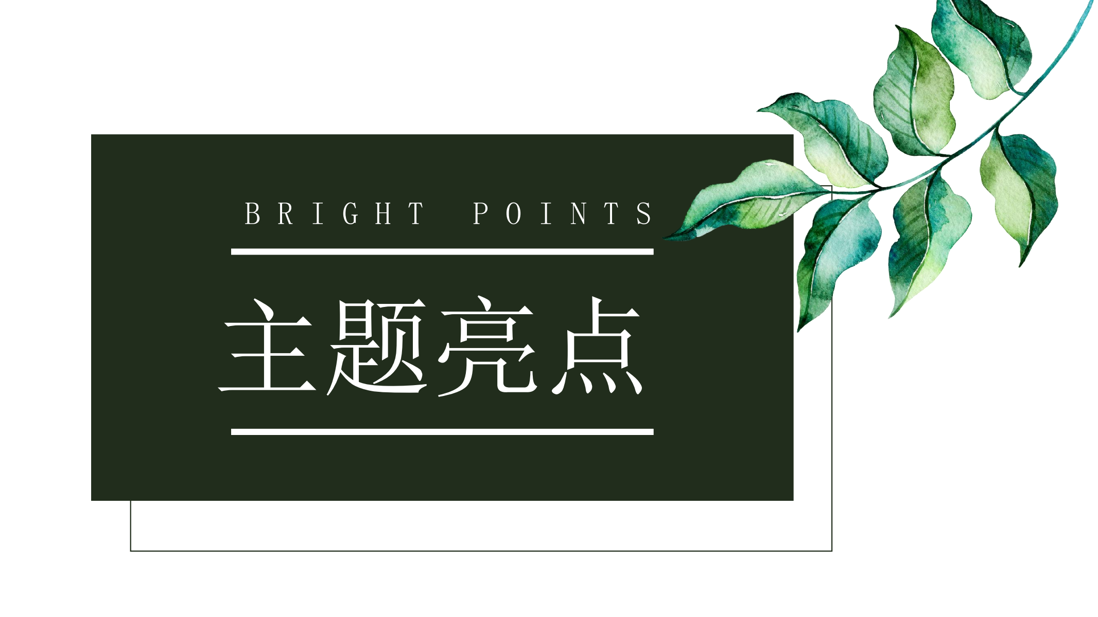 以万物为画—熊猫主题IP