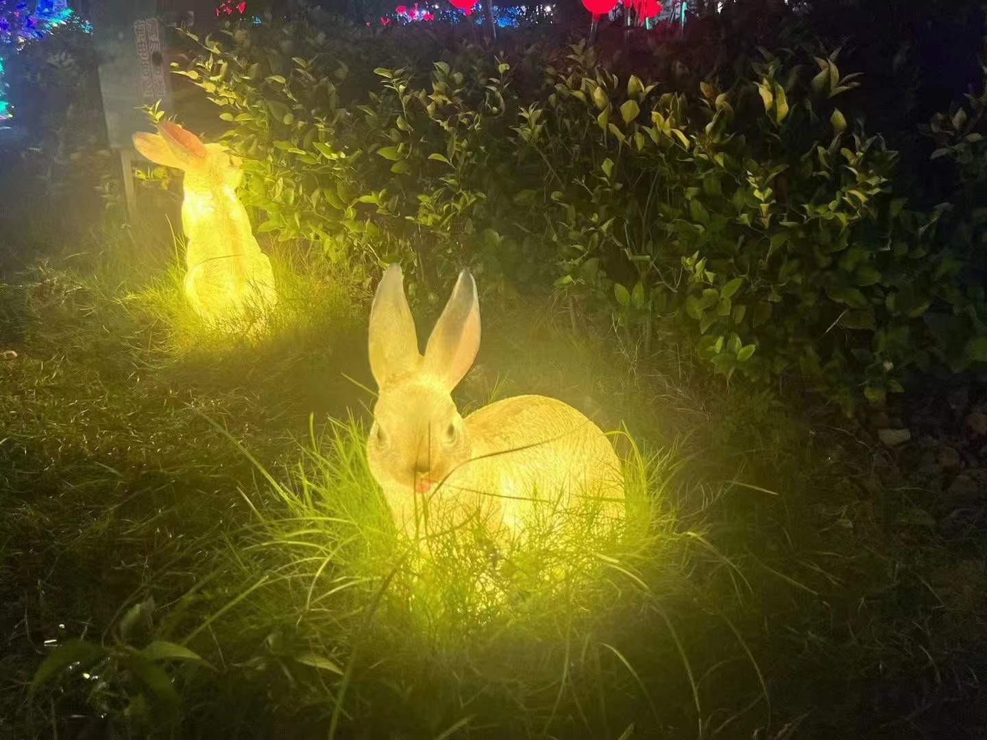 发光动物系列 夜游产品