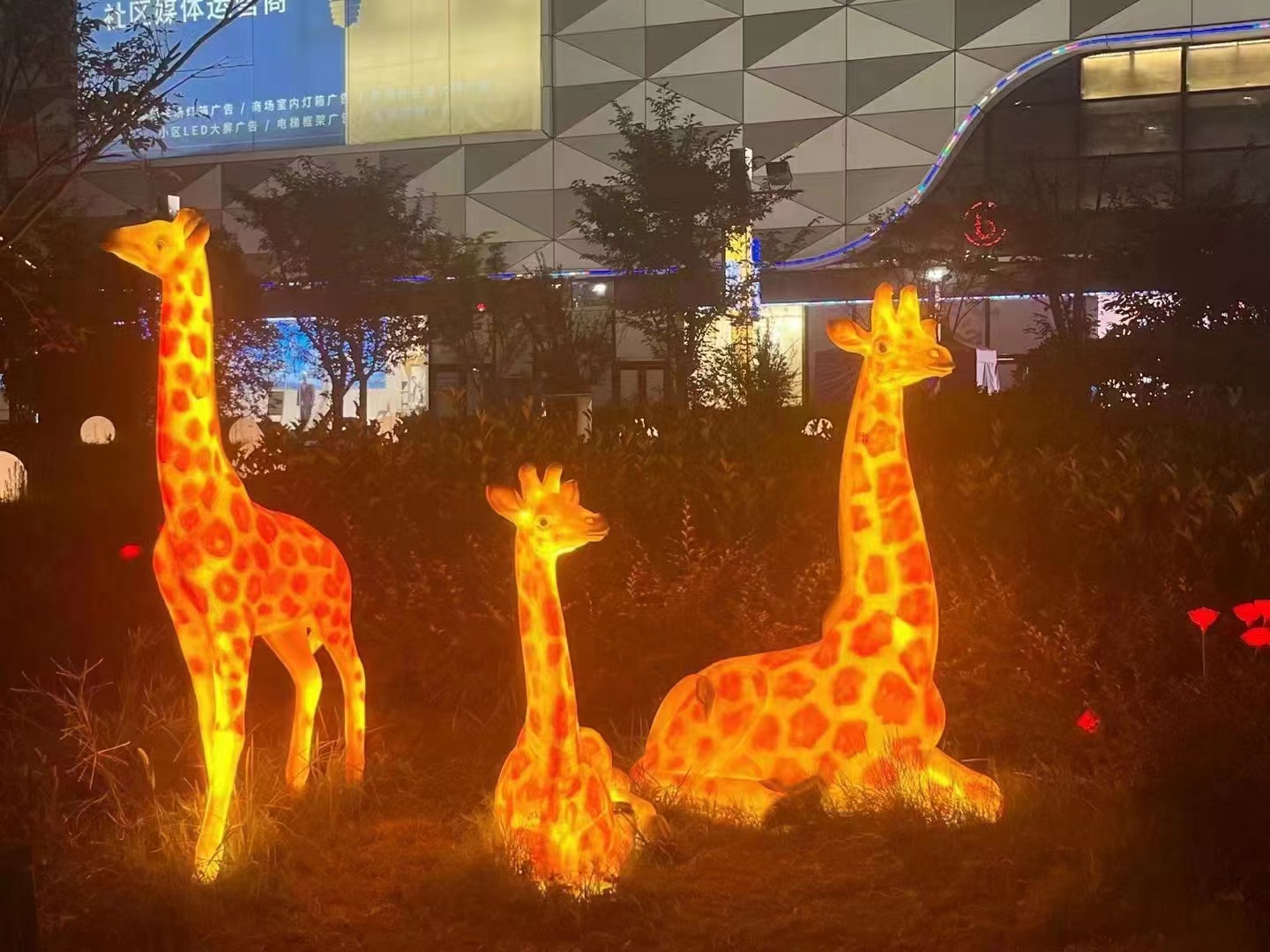 发光动物系列 夜游产品