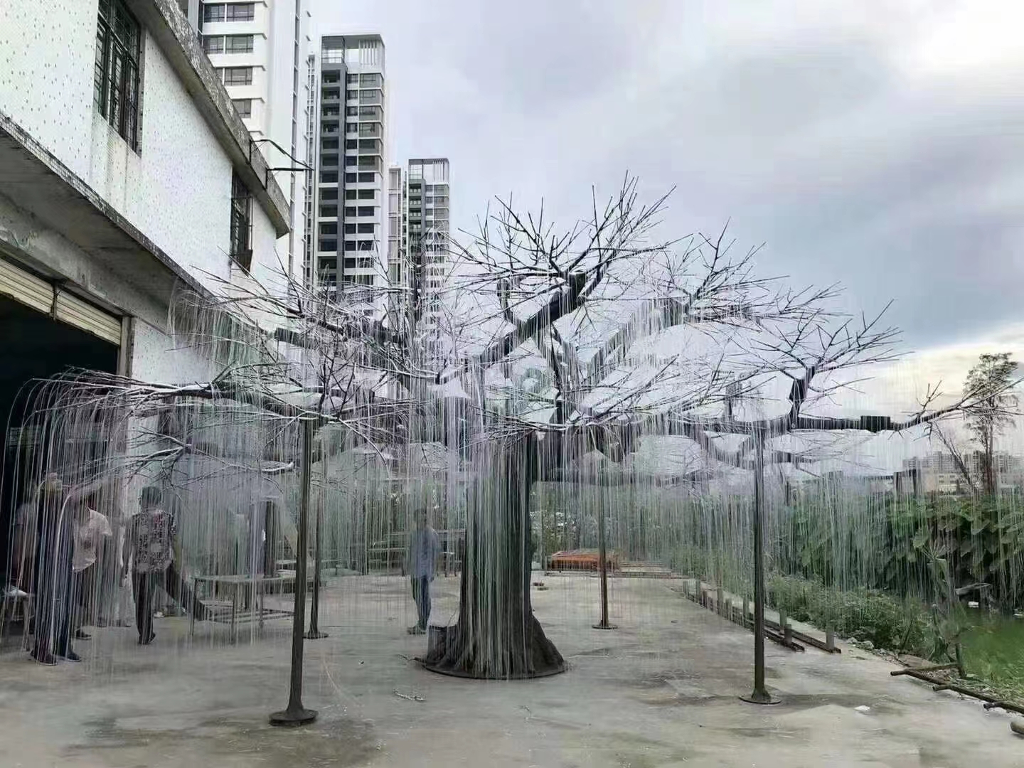 光纤秘境 做一棵不一样的树
