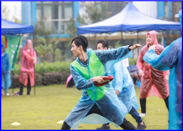 各种主题团建器材（飞盘、冰壶、棒球等）