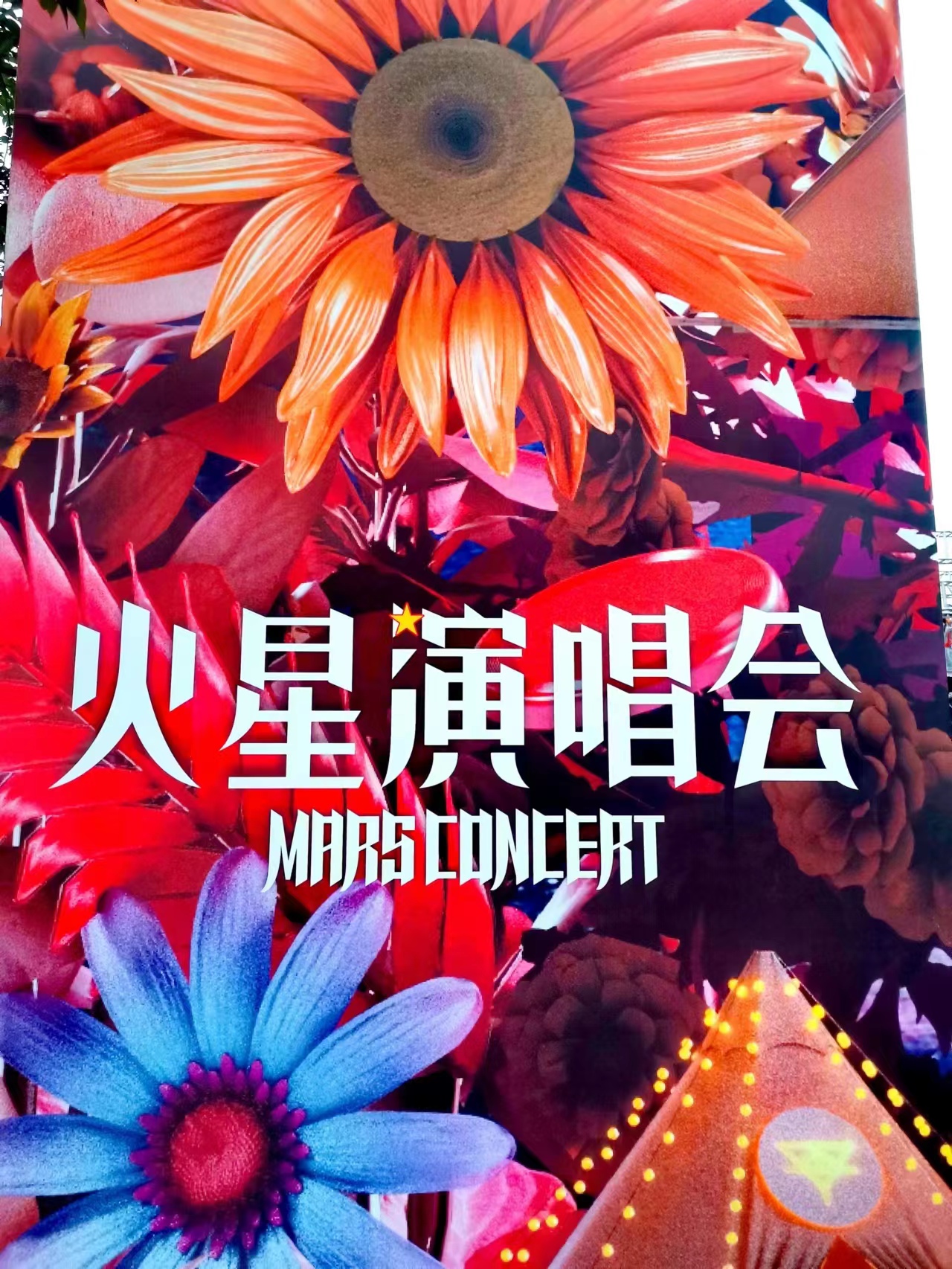 活动协助/兼职/志愿者