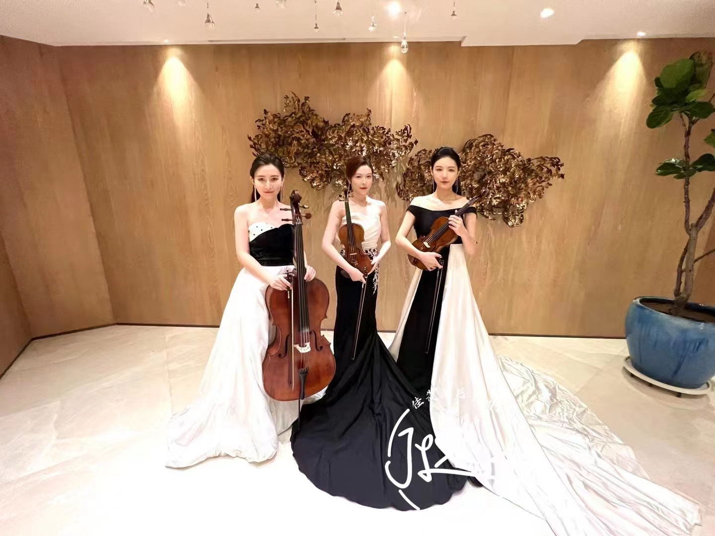 乐器《弦乐》