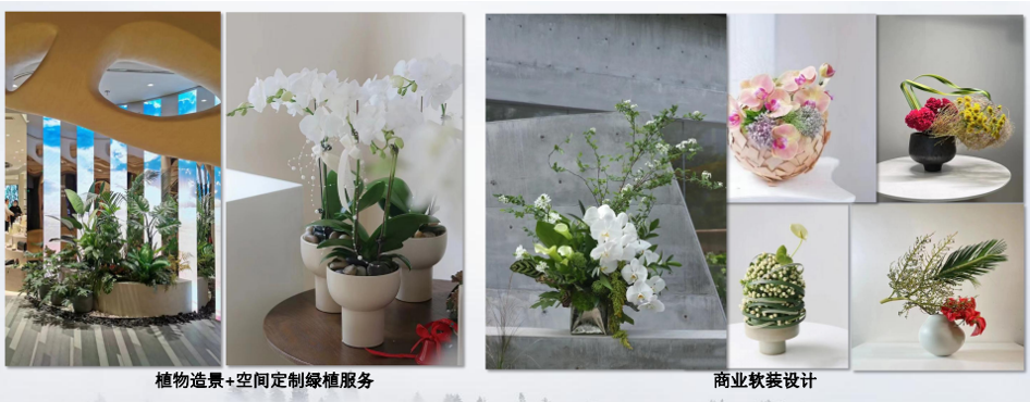 全国花艺师 园艺师 鲜花布置 等