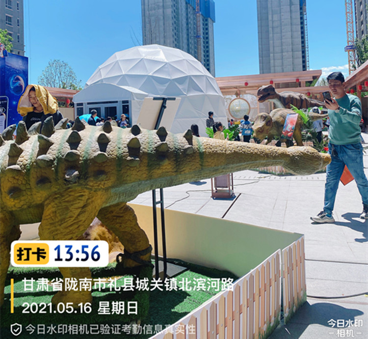 负压骨架球幕影院出租 360度裸眼5D沉浸式观影 球幕电影
