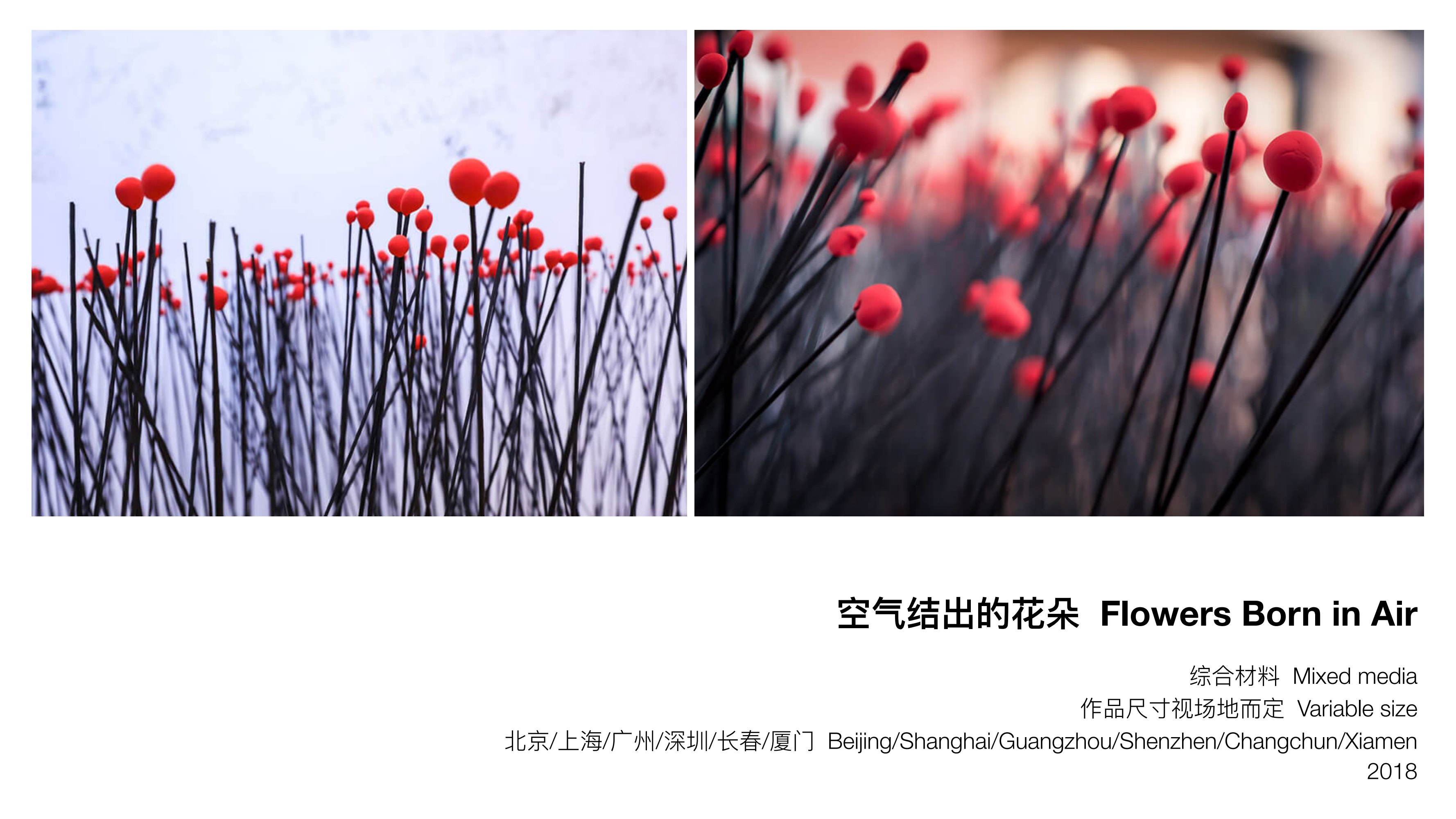 王少帅-红球计划/微笑IP策展  艺术展