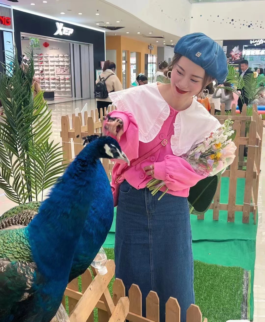 鹦鹉表演百鸟展孔雀展览引流商场地产客源暖场首选