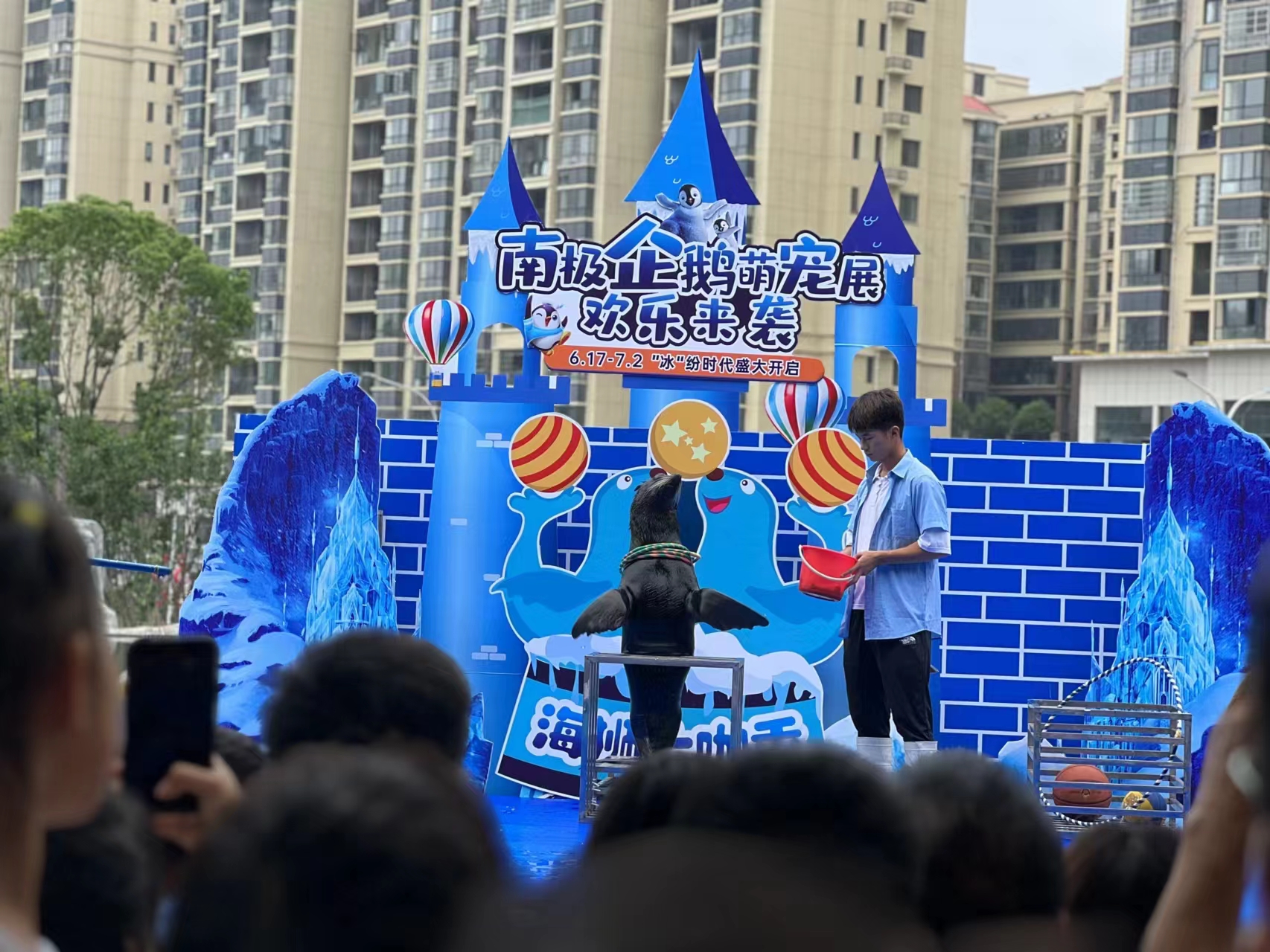 海狮表演