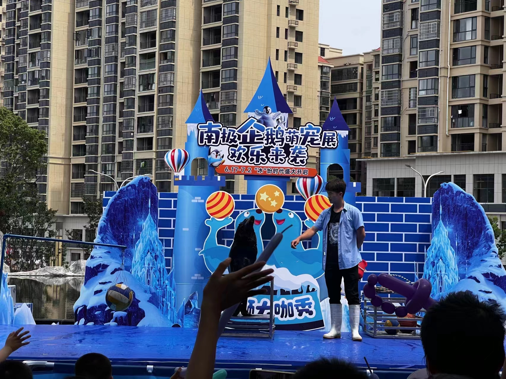 海狮表演