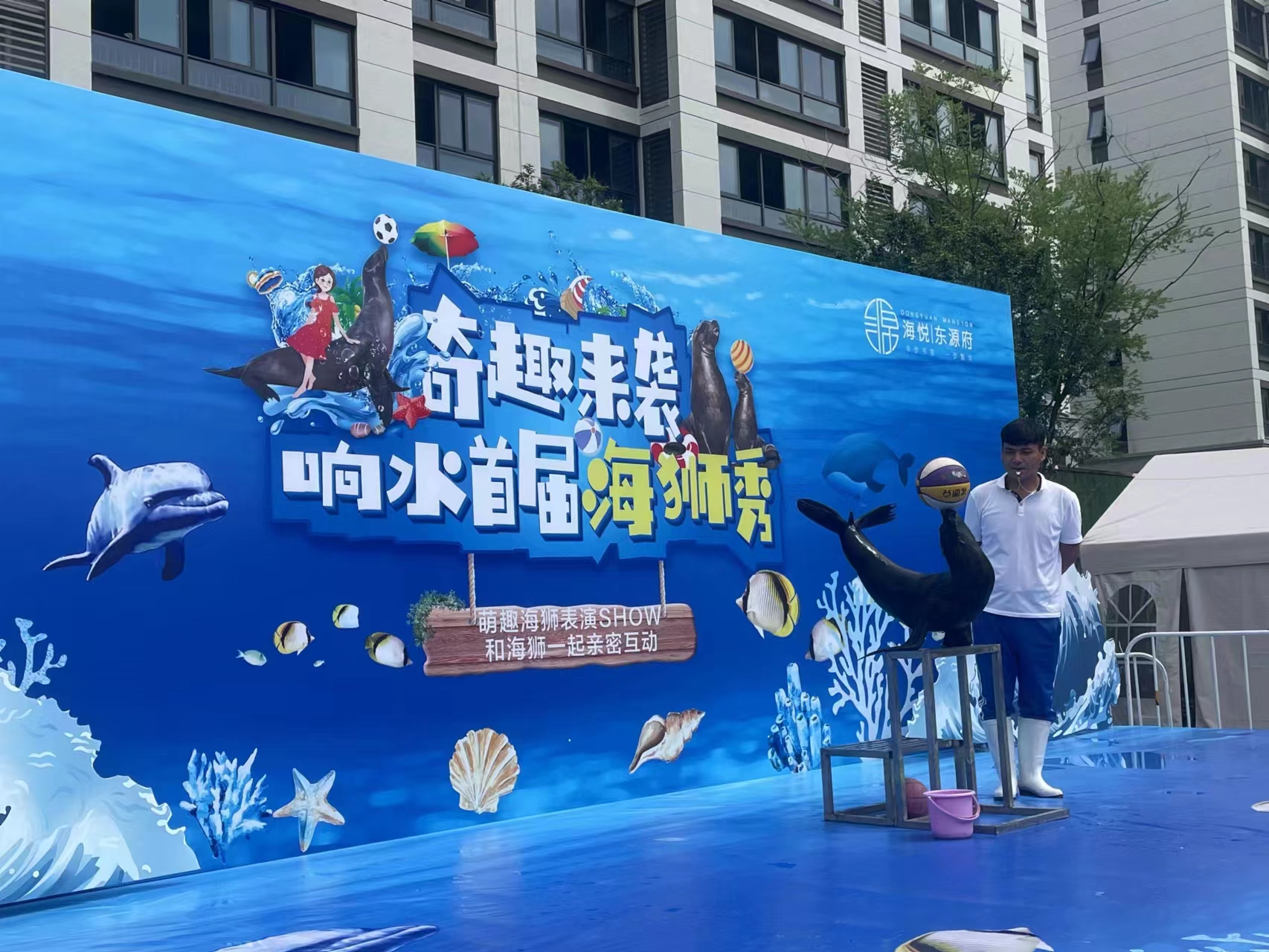海狮表演