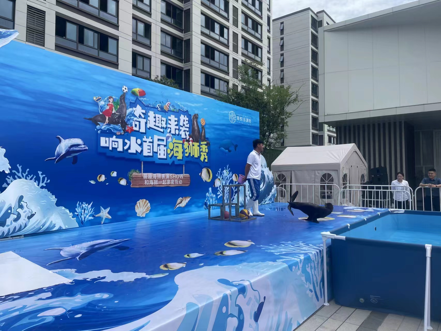 海狮表演