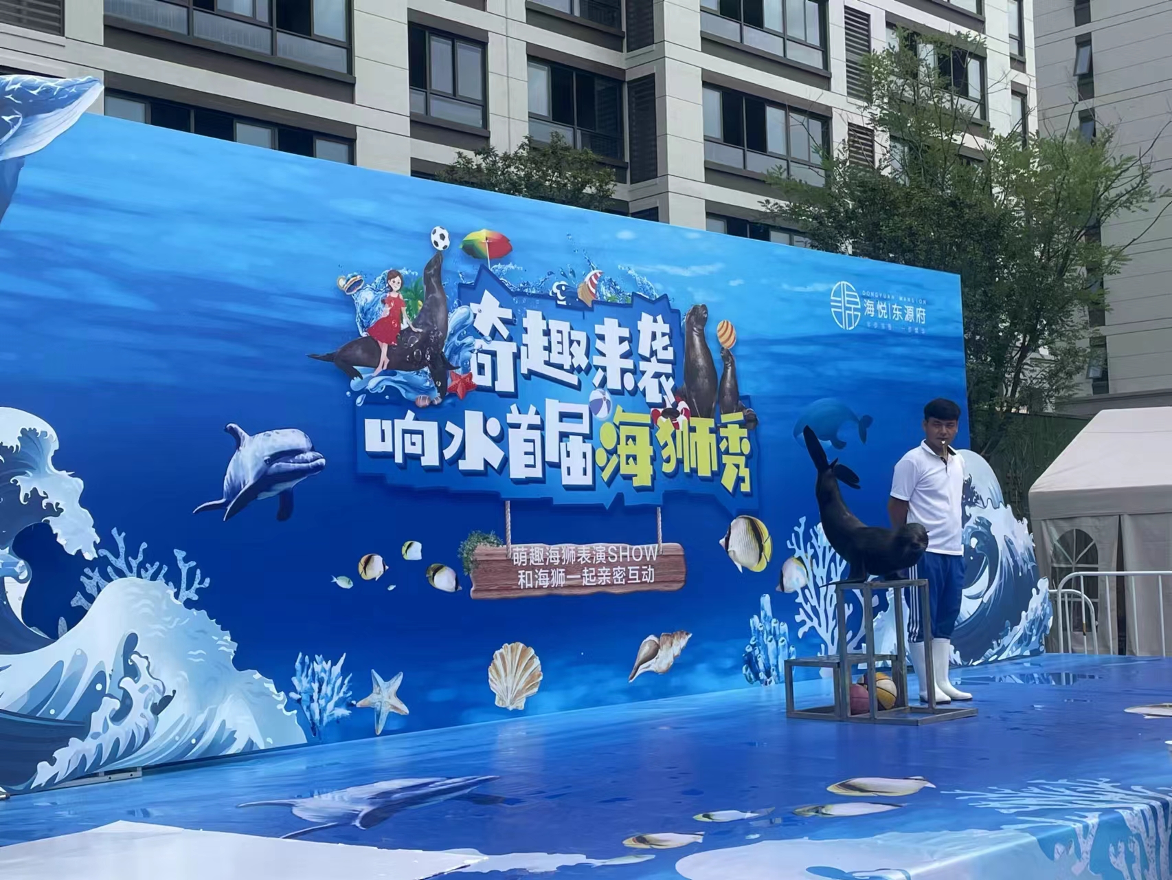 海狮表演