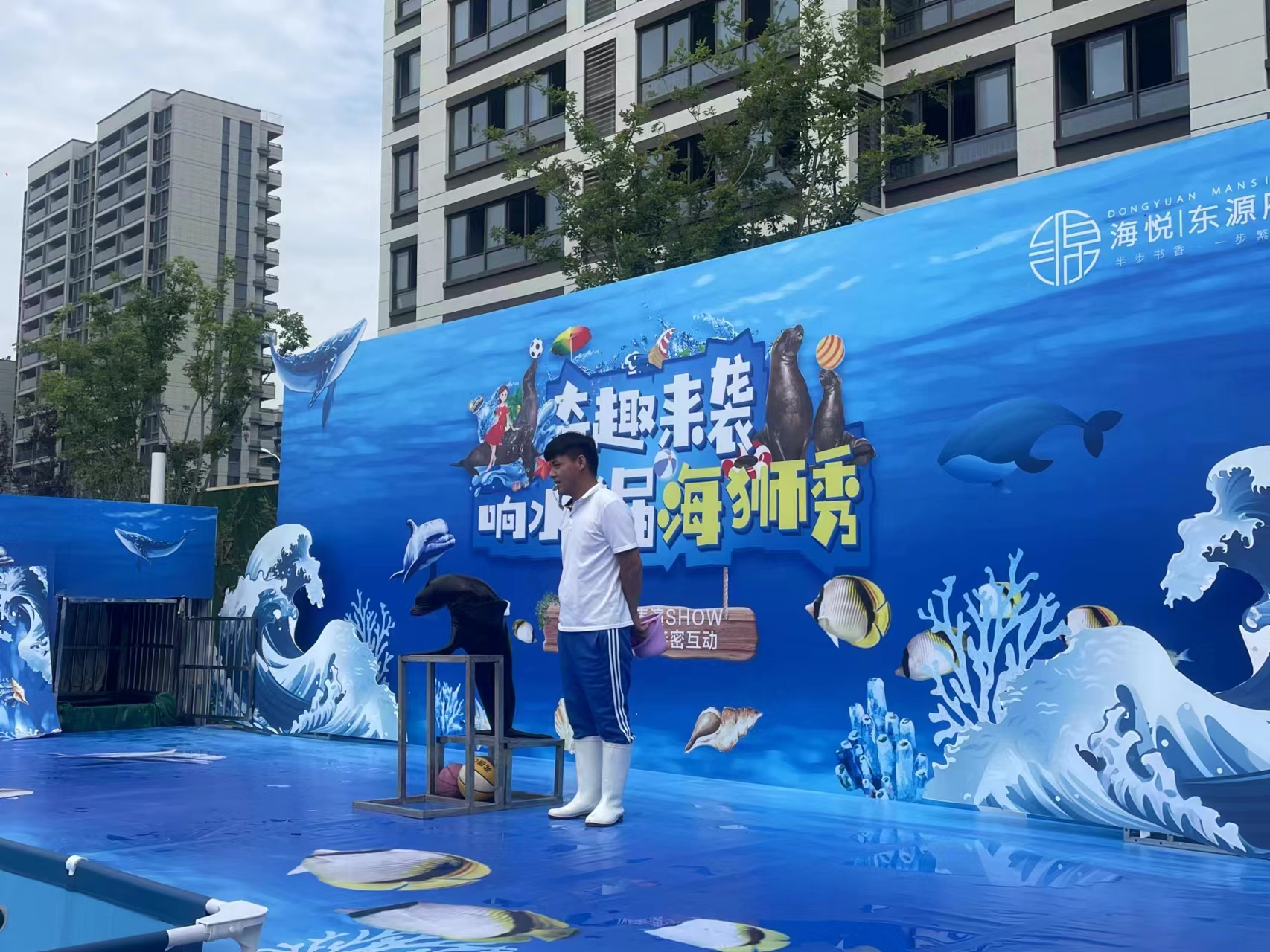 海狮表演