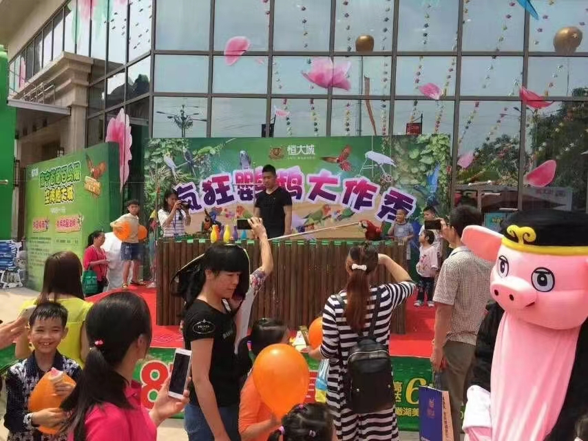 鹦鹉表演 暖场活动