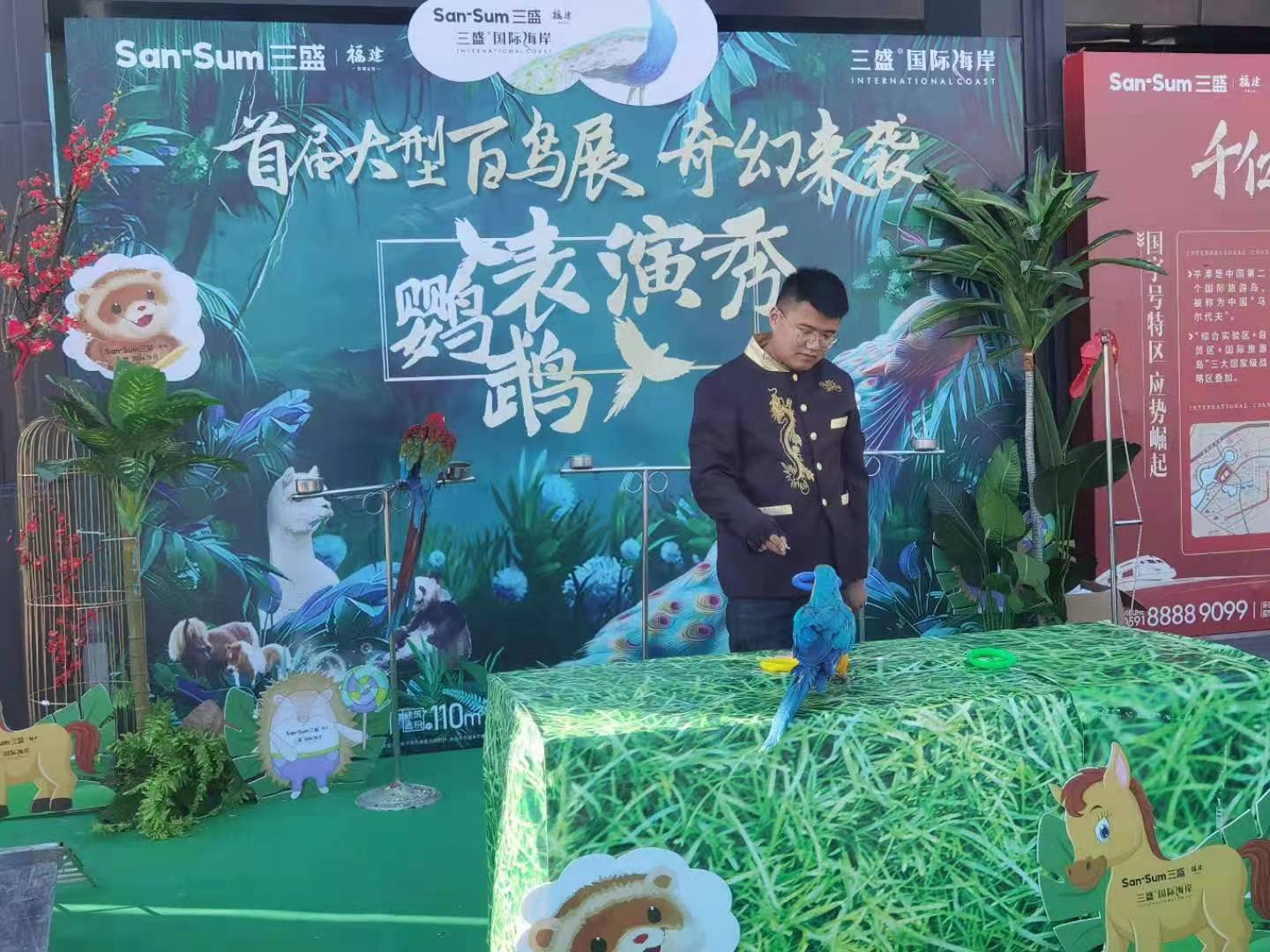 鹦鹉表演 暖场活动