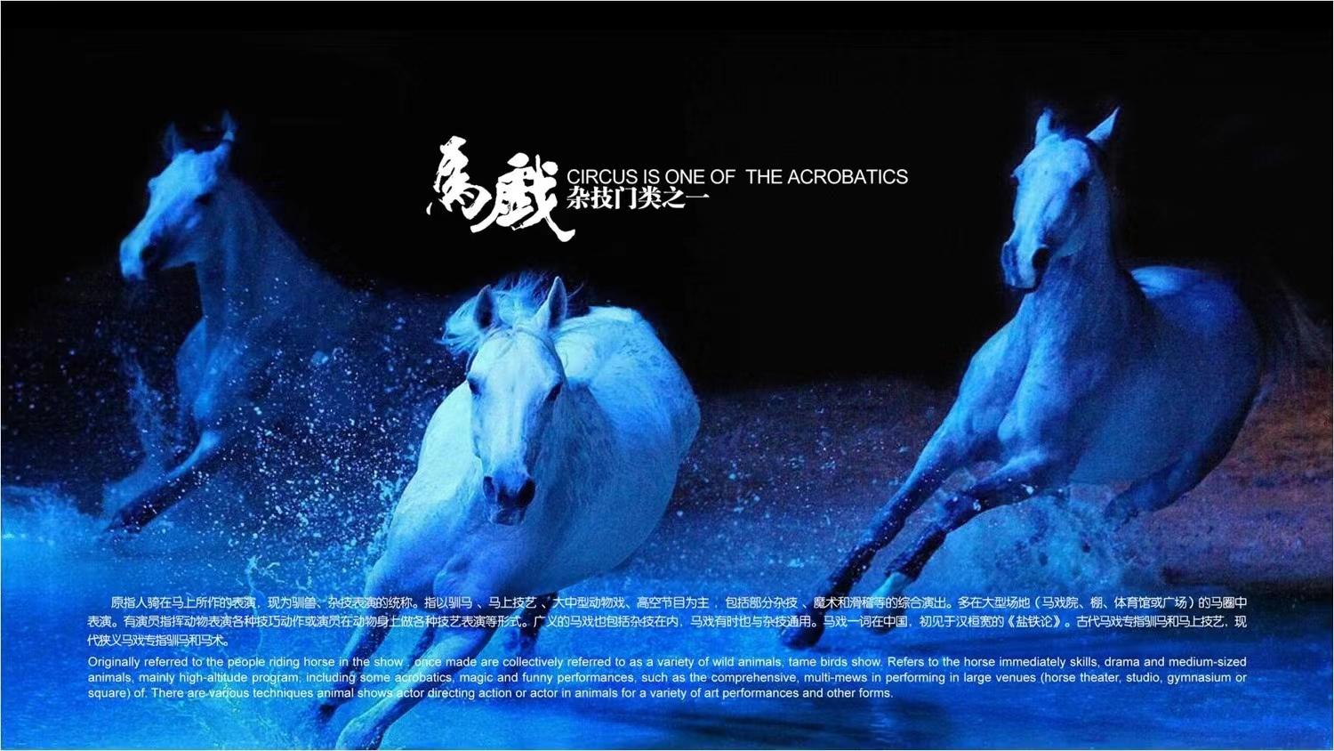 皇家大马戏