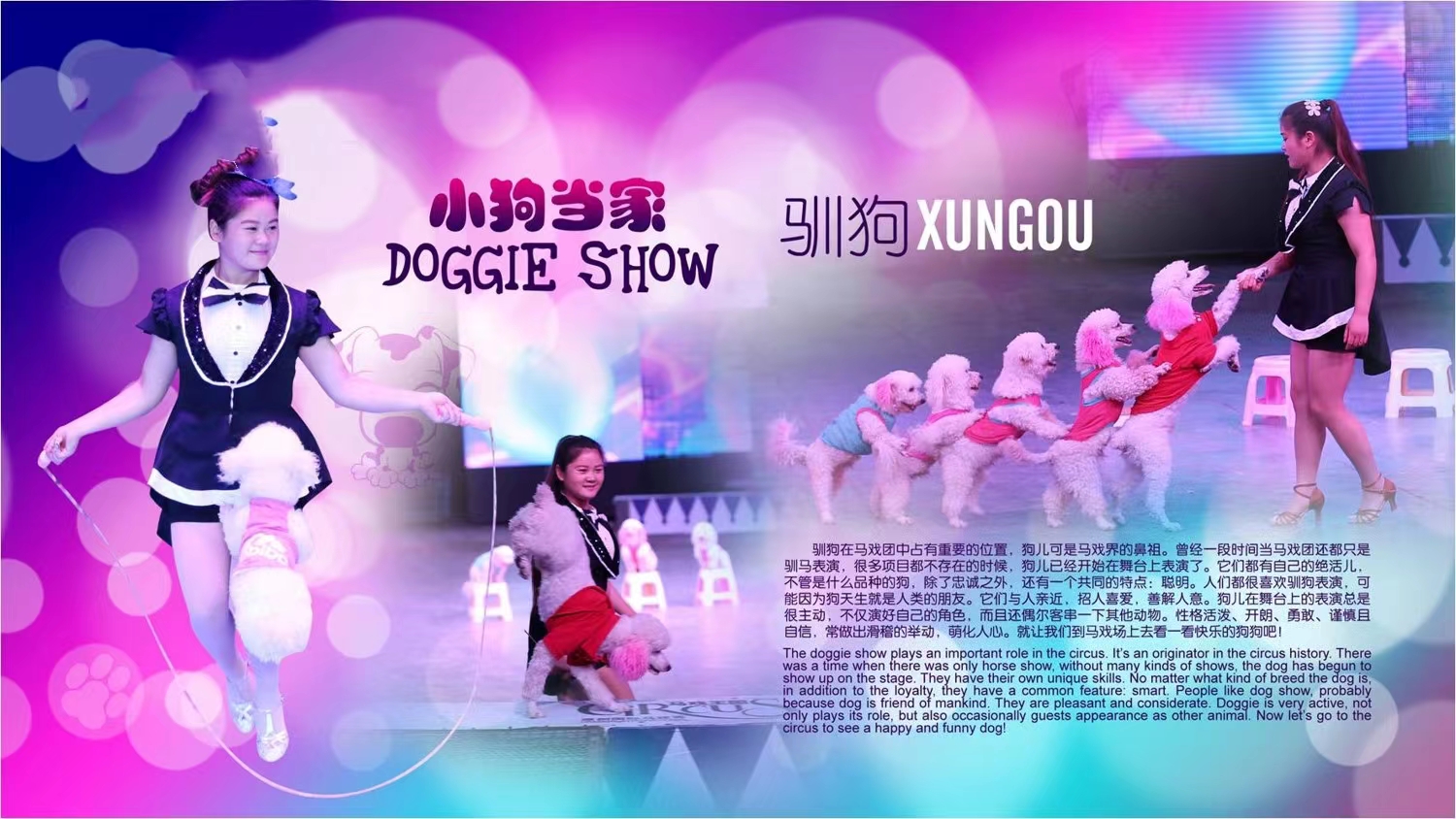 皇家大马戏
