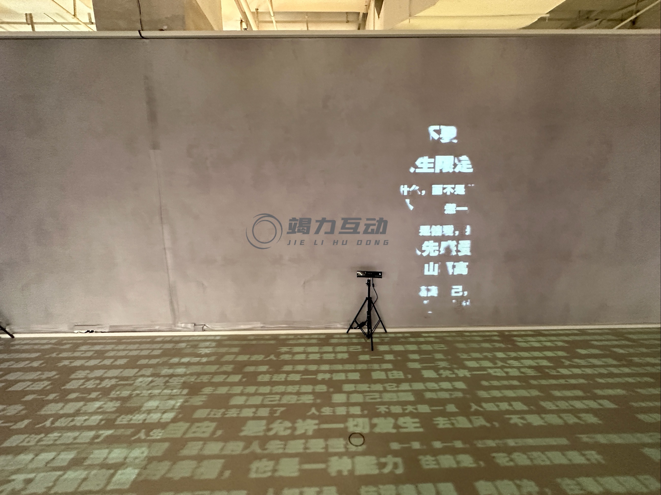 体感人影互动