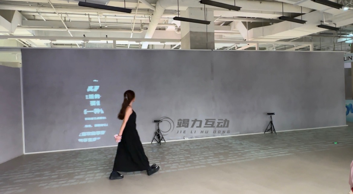 体感人影互动