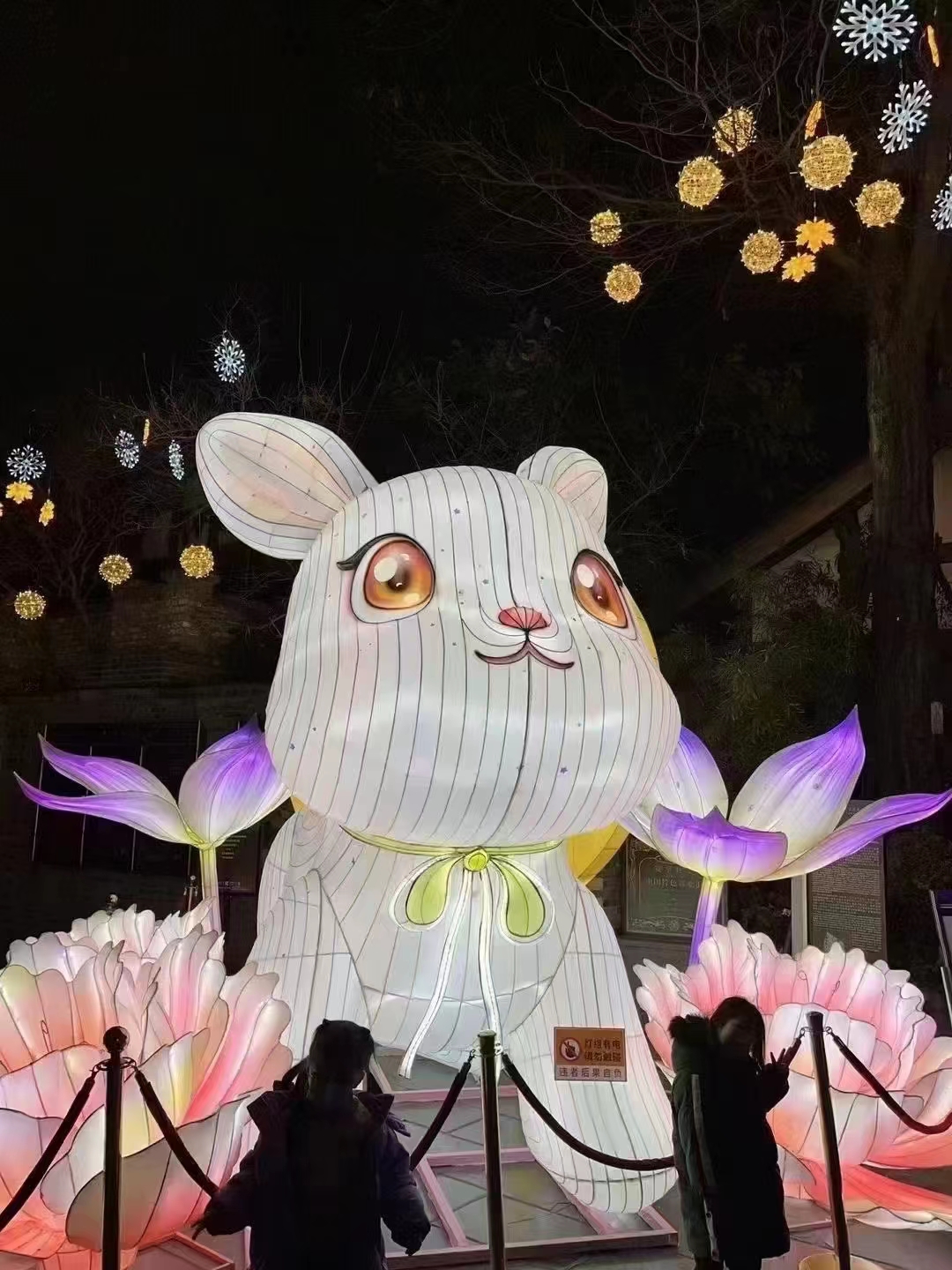 龙年花灯造型大型年会灯会灯光秀厂家