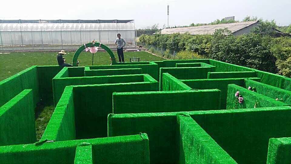 最强大脑铁艺蜂巢迷宫稻草人迷宫绿植绿雕迷宫