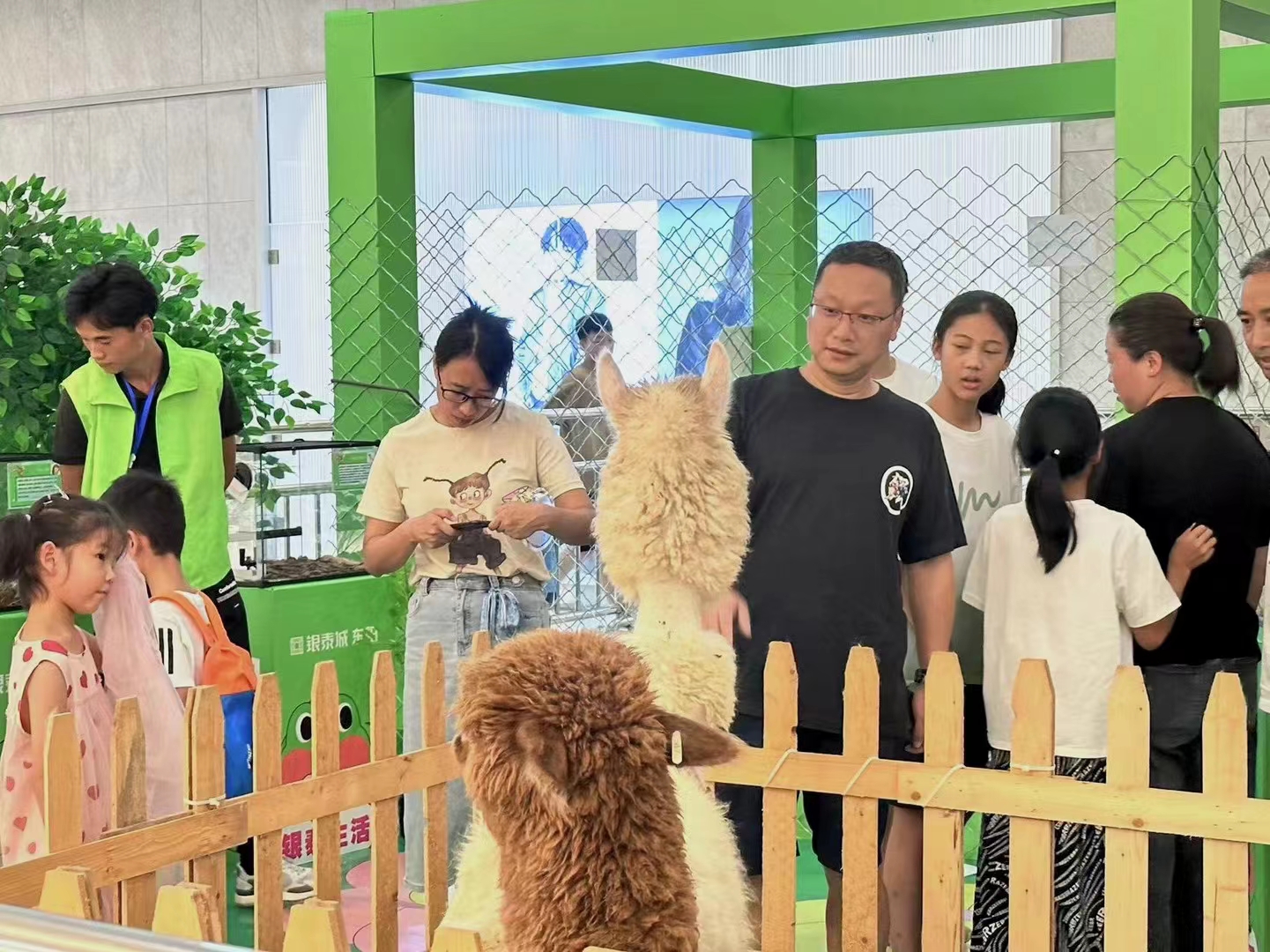 羊驼出租 萌宠动物展租赁暖场