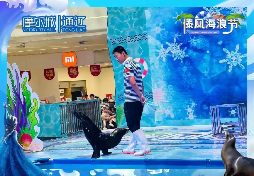 海狮表演租赁 地产开盘