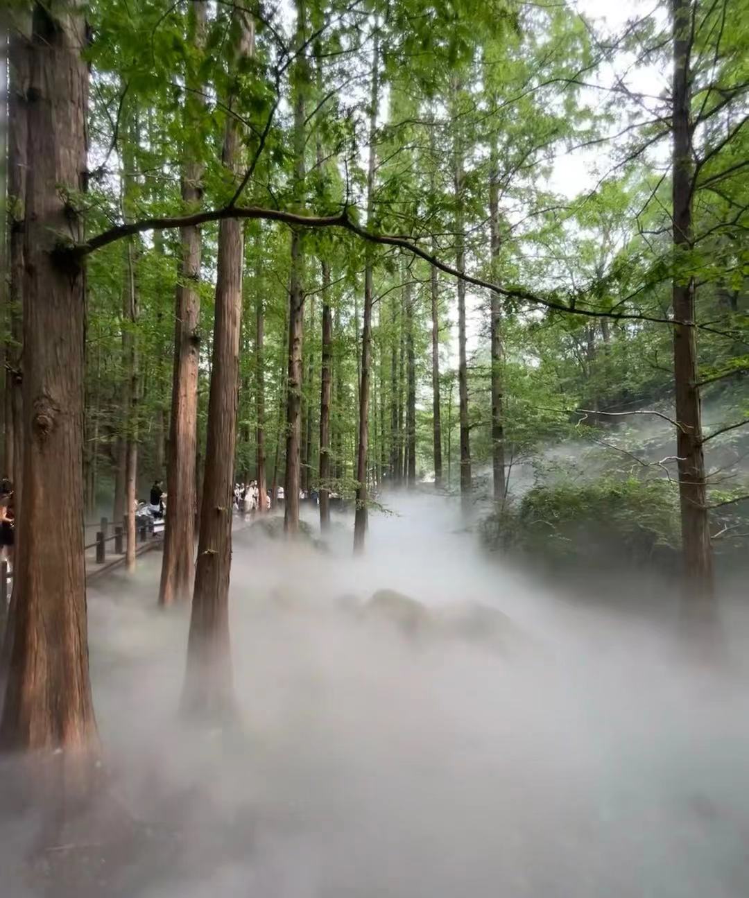 梦幻水雾