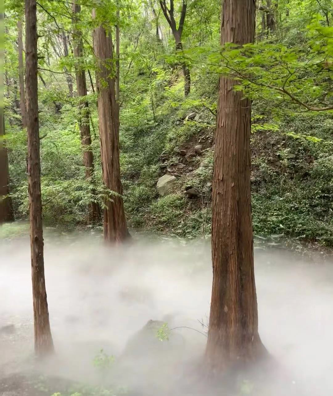 梦幻水雾