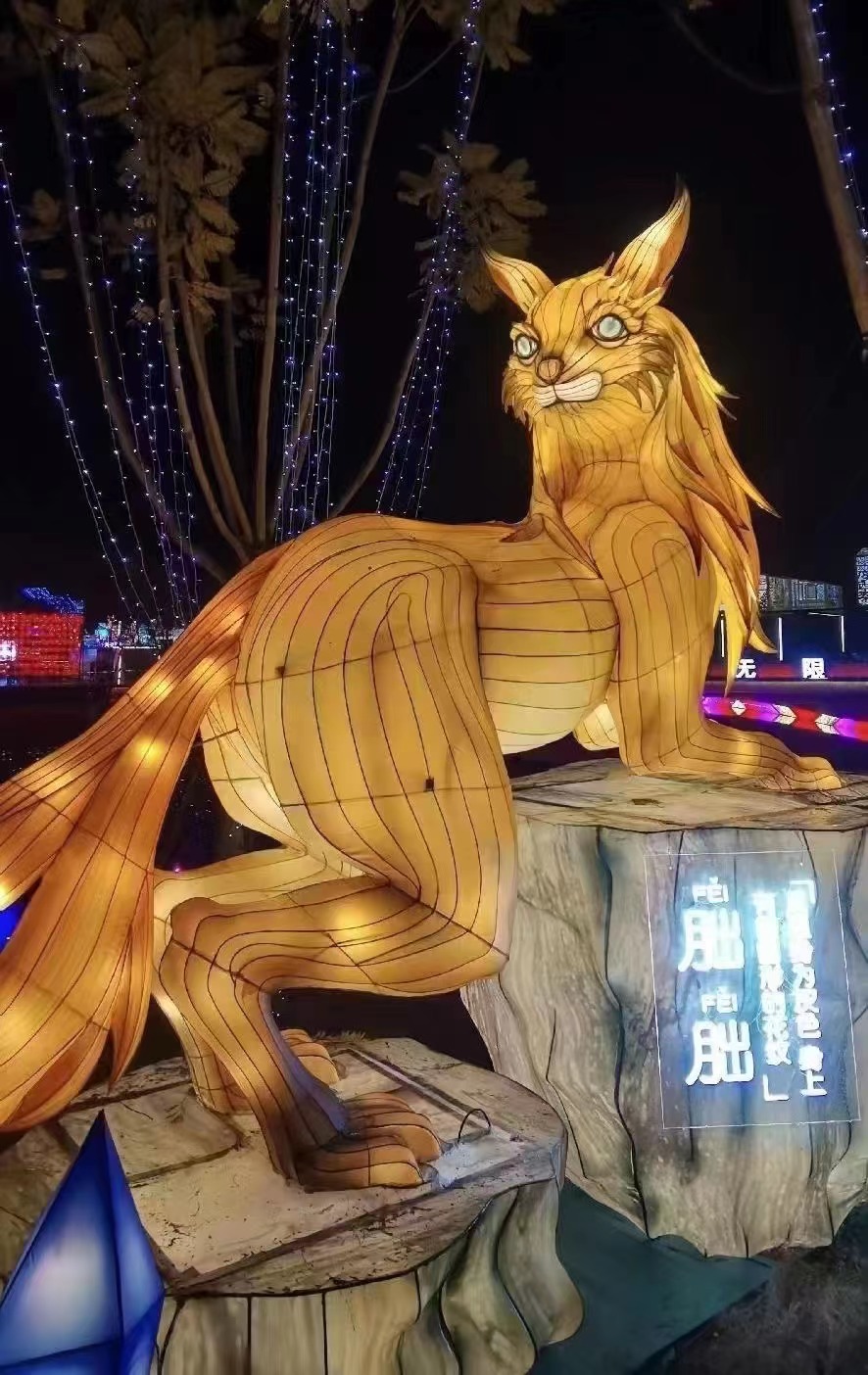 花灯彩灯，大型传统户外灯会